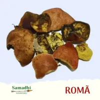 Imagem de Romã Casta da Fruta 30g
